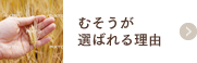 むそうが選ばれる理由